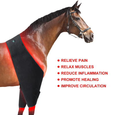 Horse Red Light Therapy Multi-Use Pad