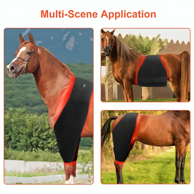 Horse Red Light Therapy Multi-Use Pad
