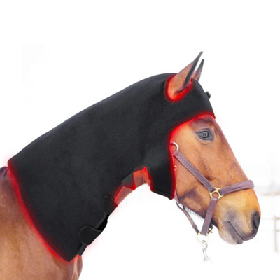 Equine Red Light Therapy Poll Cap