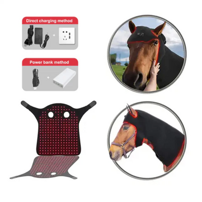 Equine Red Light Therapy Poll Cap