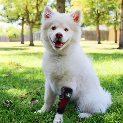 Red Light Therapy Wrap for Pets Leg- 2PCs