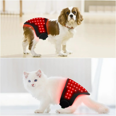 Red Infrared Light Therapy Wrap for Dogs and Cats