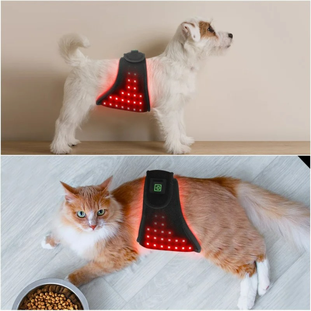 Red Infrared Light Therapy Wrap for Dogs and Cats