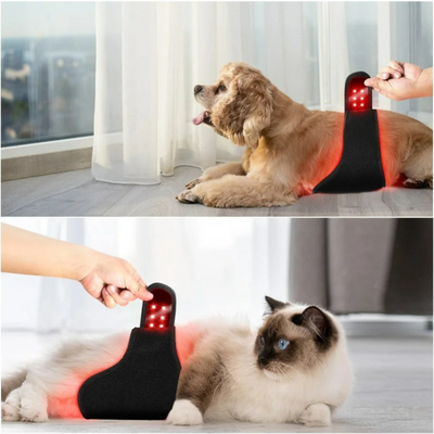 Red Infrared Light Therapy Wrap for Dogs and Cats