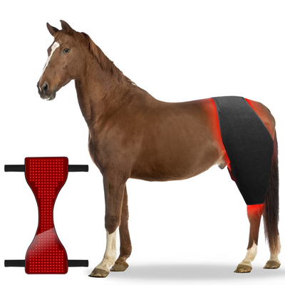 Horse Red Light Therapy Multi-Use Pad