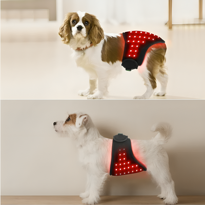 Red Infrared Light Therapy Wrap for Dogs and Cats