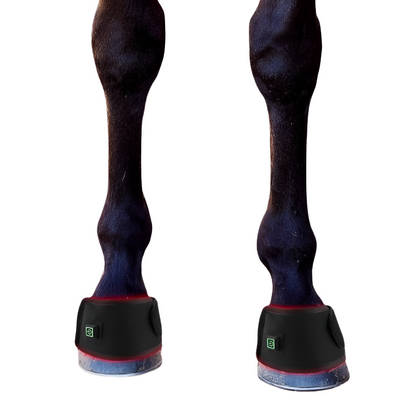Equine Red Infrared Light Therapy Hoof Wrap