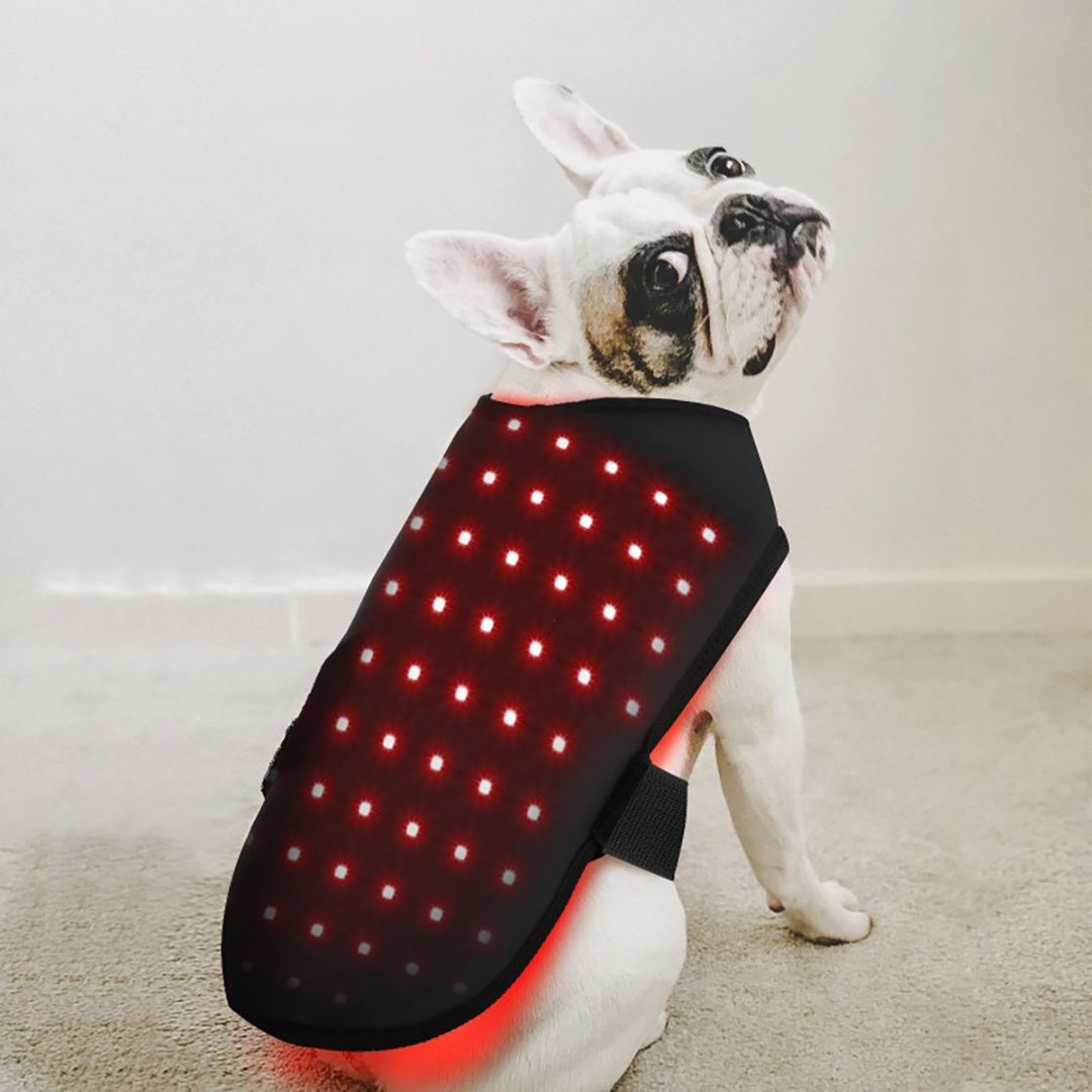 Red Light Therapy Mat for Dogs and Cat at Home