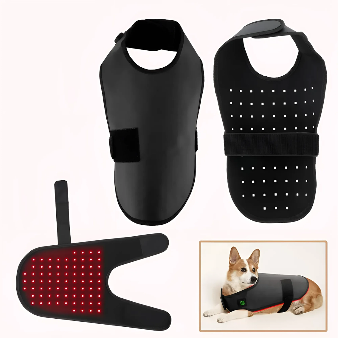 Red Light Therapy Mat for Dogs and Cat at Home