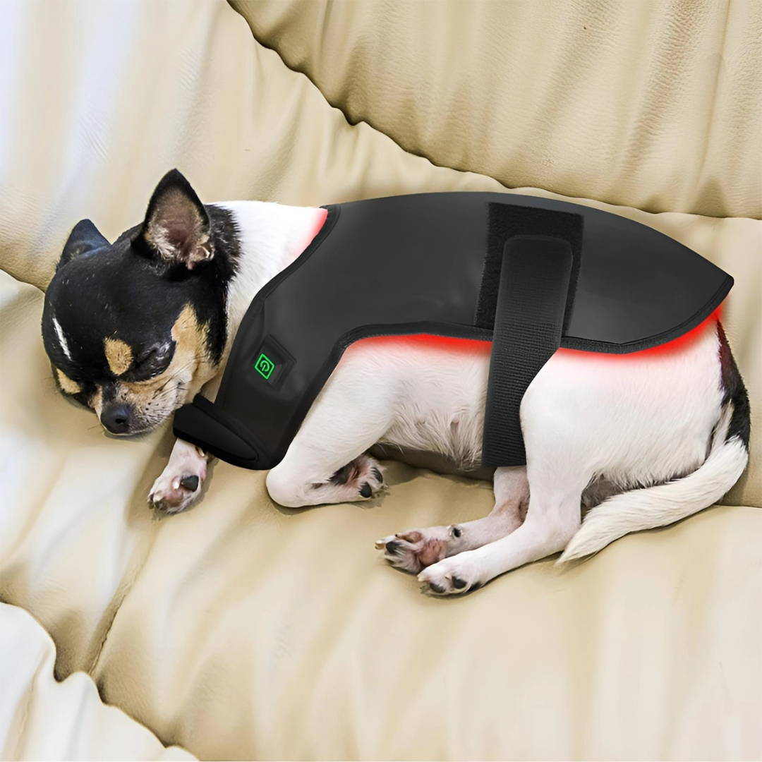 Red Light Therapy Mat for Dogs and Cat at Home