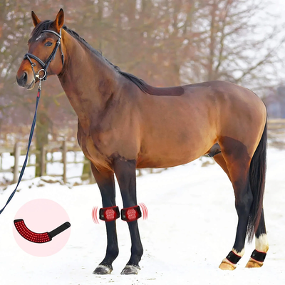 Equine Red Infrared Light Therapy Hoof Wrap
