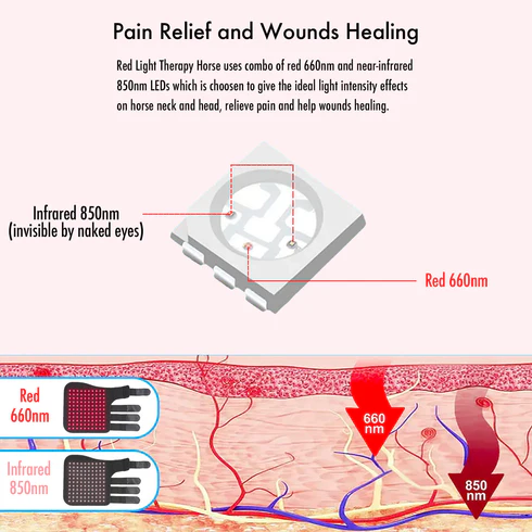 Equine Red Infrared Light Therapy Leg Wrap