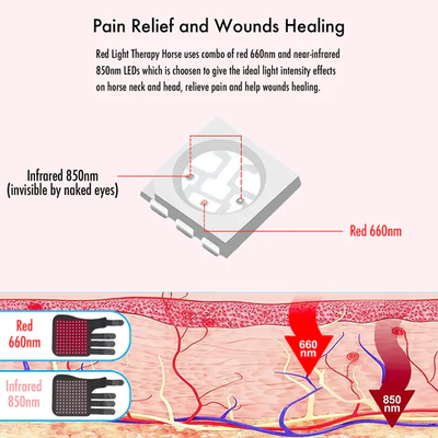 Equine Red Infrared Light Therapy Leg Wrap