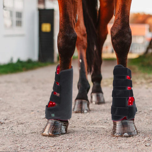 Equine Red Infrared Light Therapy Leg Wrap