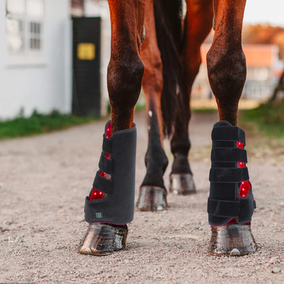 Equine Red Infrared Light Therapy Leg Wrap