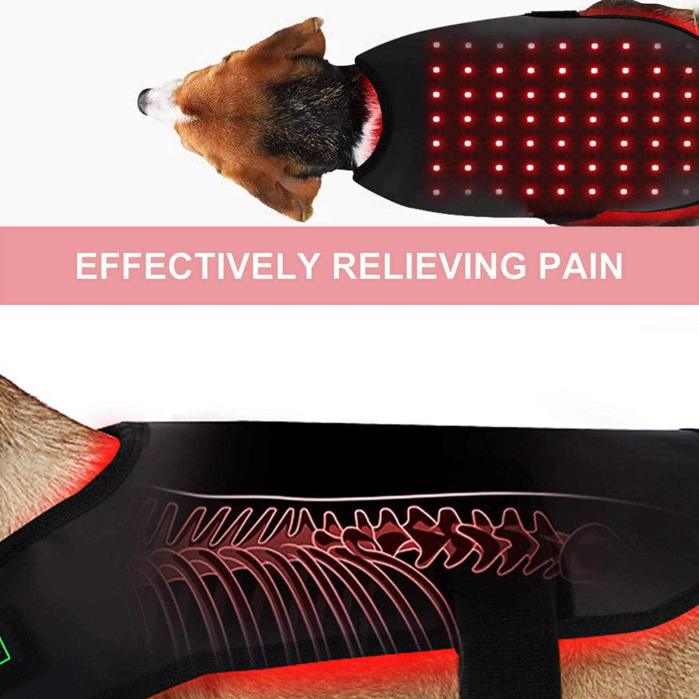 Red Light Therapy Mat for Dogs and Cat at Home